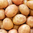 Картофель семенной Жуковский ранний Картофель семенной Жуковский ранний