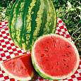 Арбуз  Землянин